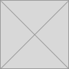 Icon Placeholder